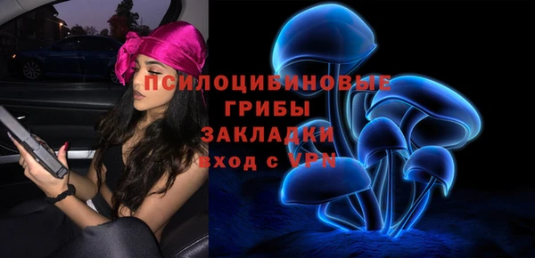 ALPHA PVP Верея
