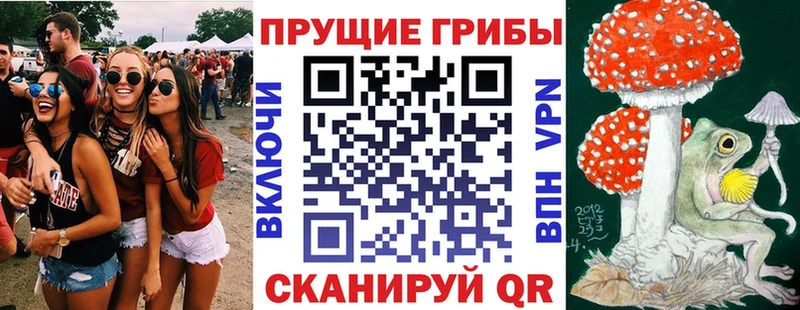 Купить где  Вязники  Галлюциногенные грибы GOLDEN TEACHER 